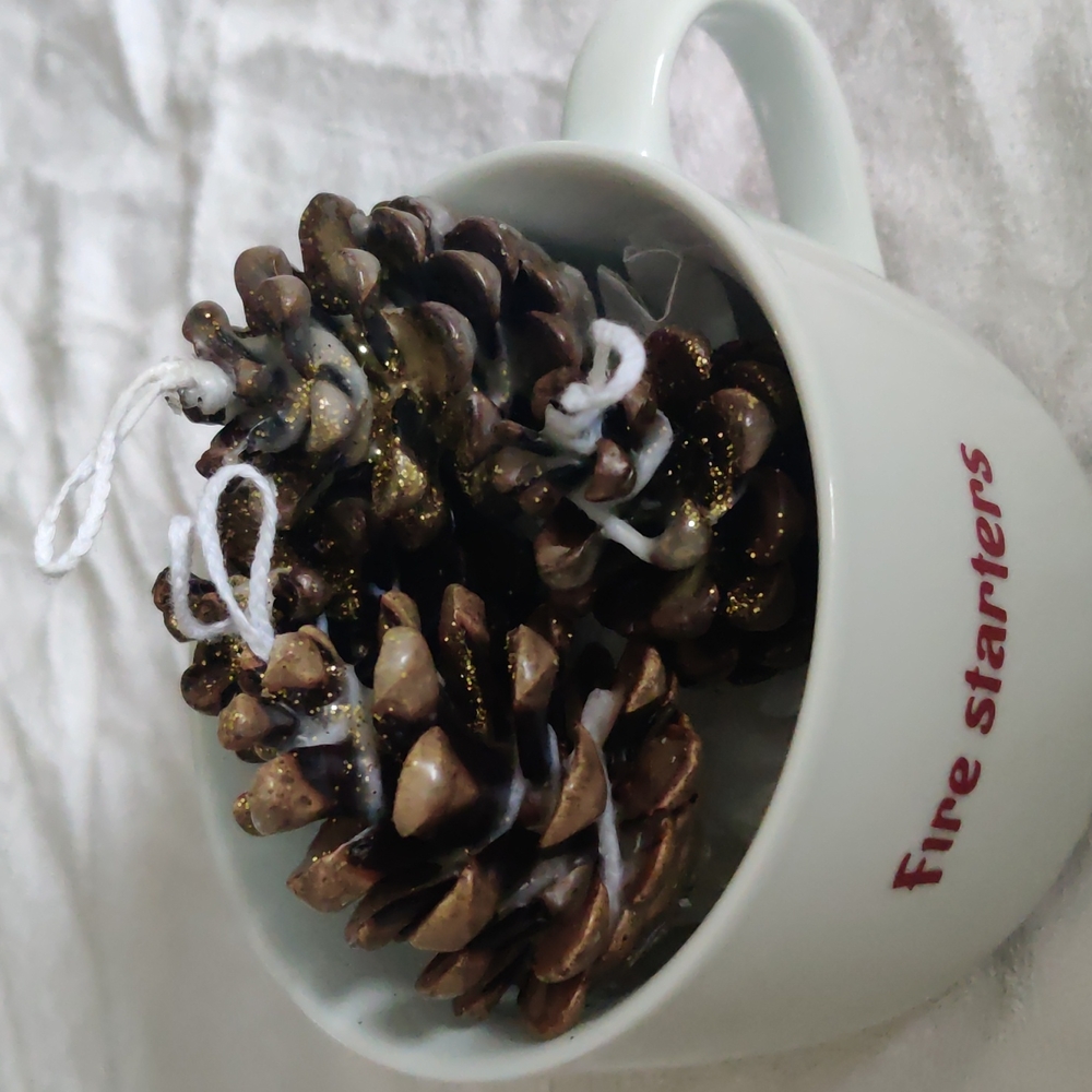 Handmade pinecone firestarters
